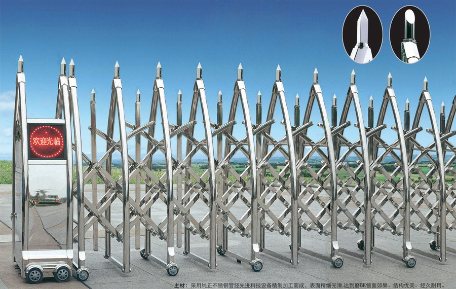 ������ʿ