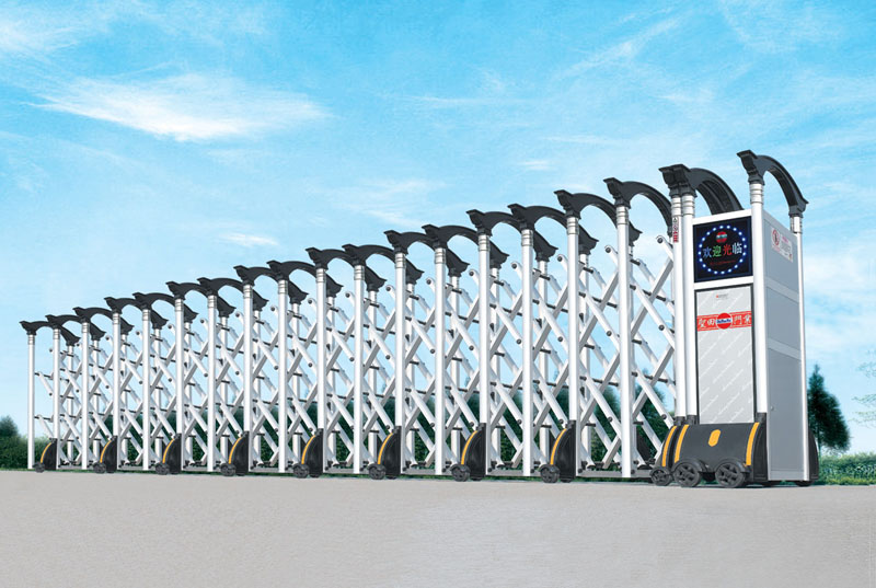 ������������5�� ��